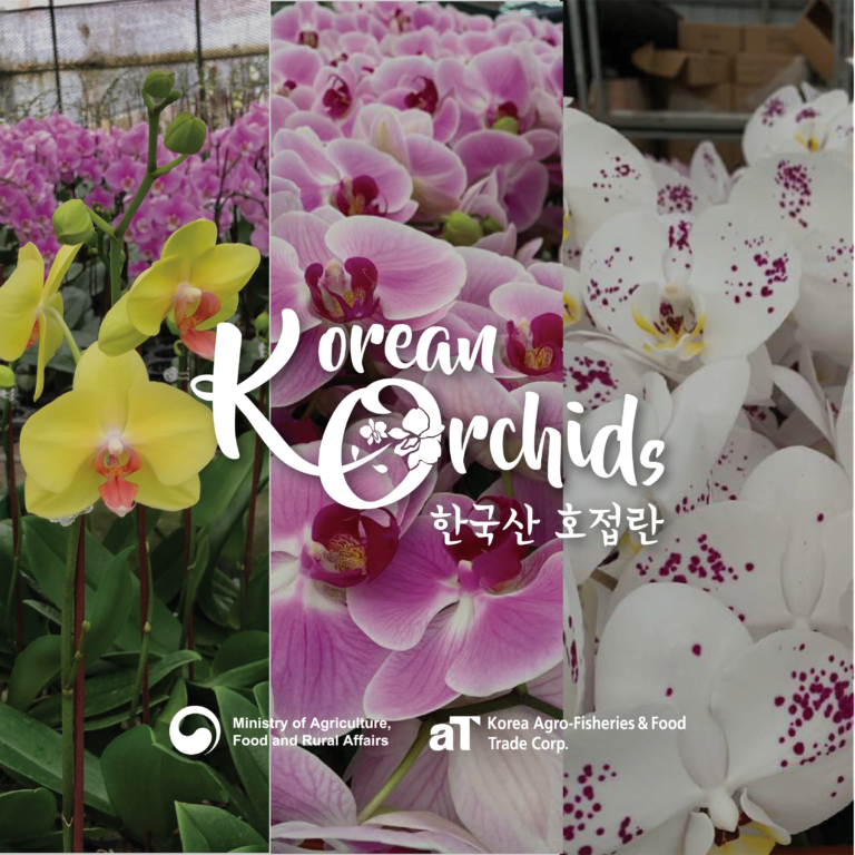 K-Orchids_Profile_WBG_GCFF_Featured_Image